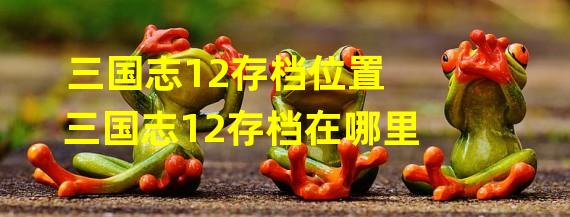 三国志12存档位置 三国志12存档在哪里?三国志12存档