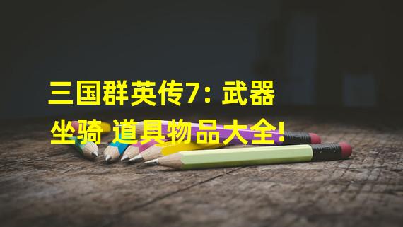 三国群英传7: 武器 坐骑 道具物品大全!