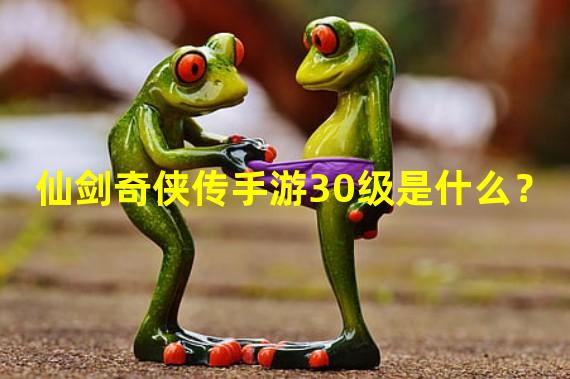 仙剑奇侠传手游30级是什么？