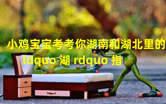 小鸡宝宝考考你湖南和湖北里的 ldquo 湖 rdquo 指的是哪个湖泊