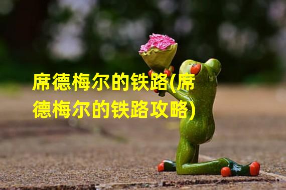 席德梅尔的铁路(席德梅尔的铁路攻略)