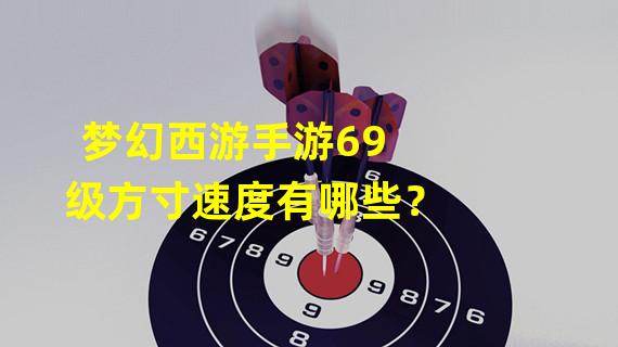 梦幻西游手游69级方寸速度有哪些？