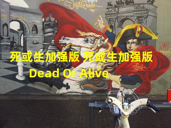 死或生加强版 死或生加强版   Dead Or Alive    所有