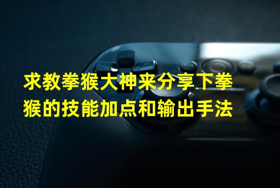 求教拳猴大神来分享下拳猴的技能加点和输出手法