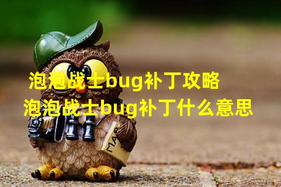 泡泡战士bug补丁攻略 泡泡战士bug补丁什么意思?