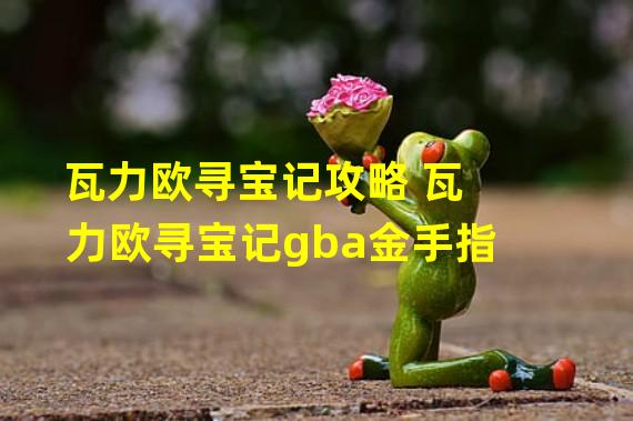 瓦力欧寻宝记攻略 瓦力欧寻宝记gba金手指