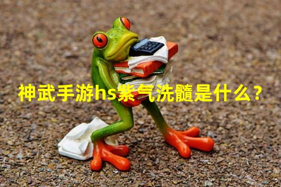 神武手游hs紫气洗髓是什么？