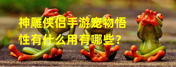 神雕侠侣手游宠物悟性有什么用有哪些？