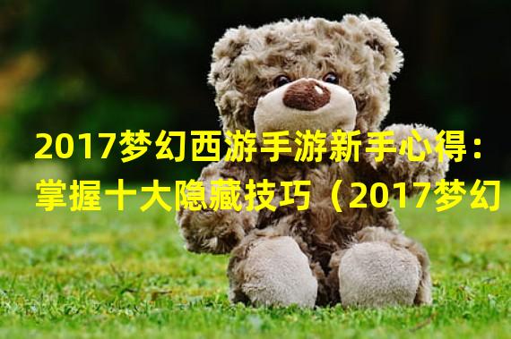 2017梦幻西游手游新手心得：掌握十大隐藏技巧（2017梦幻西游手游新手指南：全面解读四大职业特点）