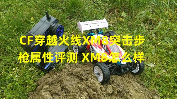 CF穿越火线XM8突击步枪属性评测 XM8怎么样