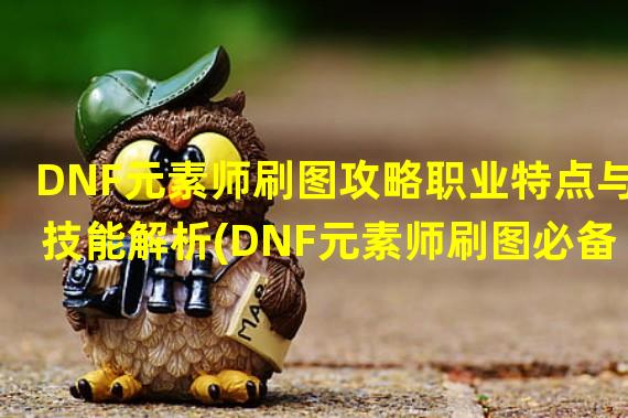 DNF元素师刷图攻略职业特点与技能解析(DNF元素师刷图必备装备选择与技能搭配策略)