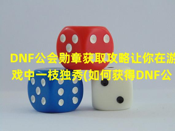 DNF公会勋章获取攻略让你在游戏中一枝独秀(如何获得DNF公会勋章)