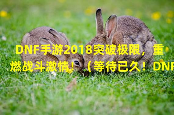 DNF手游2018突破极限，重燃战斗激情！（等待已久！DNF手游2018震撼上线，冒险新篇章即将揭开！）