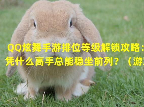 QQ炫舞手游排位等级解锁攻略：凭什么高手总能稳坐前列？（游戏等级解锁大揭秘：探寻QQ炫舞手游排位赛中的隐藏玩法）