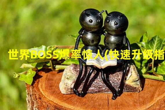 世界BOSS爆率惊人(快速升级指南)