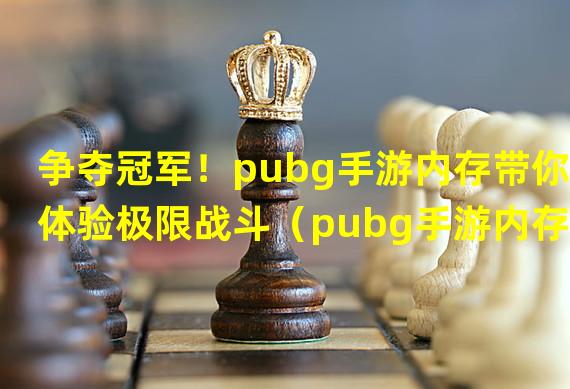 争夺冠军！pubg手游内存带你体验极限战斗（pubg手游内存需求曝光，带来超清畅游戏体验）