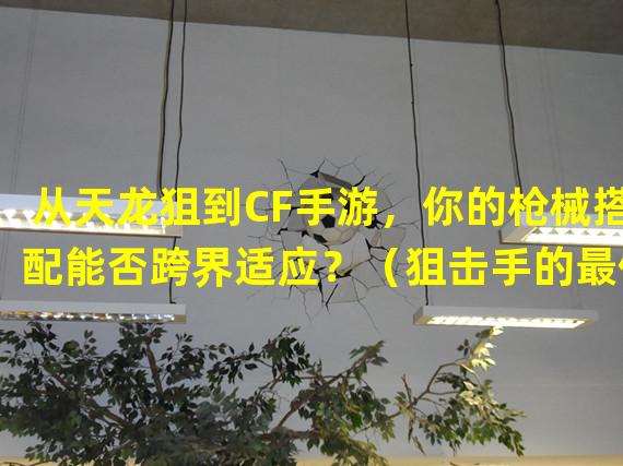 从天龙狙到CF手游，你的枪械搭配能否跨界适应？（狙击手的最佳选择！天龙狙配CF手游，如何打造无敌组合？）