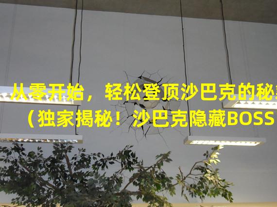 从零开始，轻松登顶沙巴克的秘籍（独家揭秘！沙巴克隐藏BOSS战略突破指南）