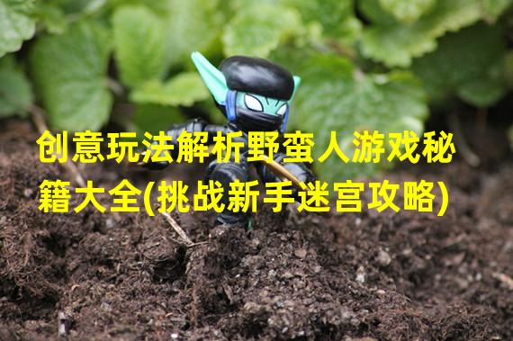 创意玩法解析野蛮人游戏秘籍大全(挑战新手迷宫攻略)