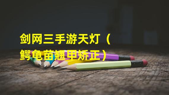 剑网三手游天灯（鳄龟苗翘甲矫正）