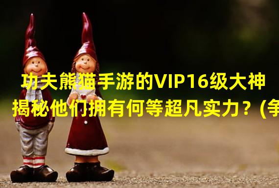 功夫熊猫手游的VIP16级大神揭秘他们拥有何等超凡实力？(争论不休！功夫熊猫手游到底有没有VIP16级大神存在？)