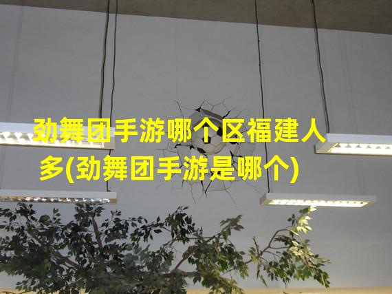 劲舞团手游哪个区福建人多(劲舞团手游是哪个)