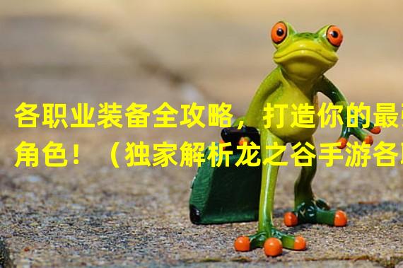 各职业装备全攻略，打造你的最强角色！（独家解析龙之谷手游各职业装备套装效果！）