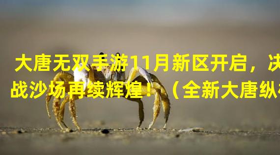 大唐无双手游11月新区开启，决战沙场再续辉煌！（全新大唐纵横！大唐无双手游11月新区震撼来袭！）