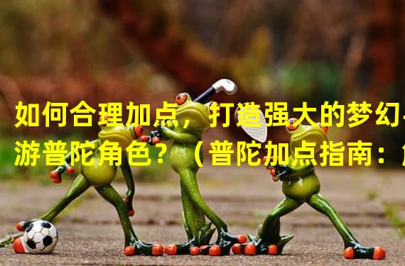 如何合理加点，打造强大的梦幻手游普陀角色？（普陀加点指南：解锁技能，提升战斗实力）