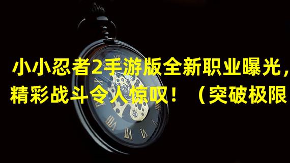 小小忍者2手游版全新职业曝光，精彩战斗令人惊叹！（突破极限！小小忍者2手游版新关卡带来无尽挑战！）