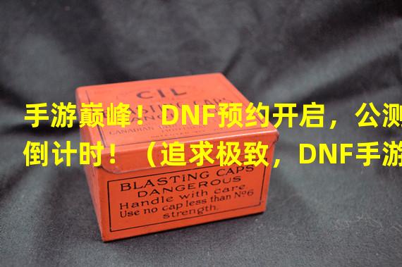 手游巅峰！DNF预约开启，公测倒计时！（追求极致，DNF手游公测时间曝光！）