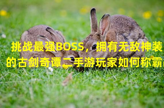 挑战最强BOSS，拥有无敌神装的古剑奇谭二手游玩家如何称霸战场？（稀世珍宝惊现古剑奇谭二手游，探寻装备秘境揭示无尽宝藏！）