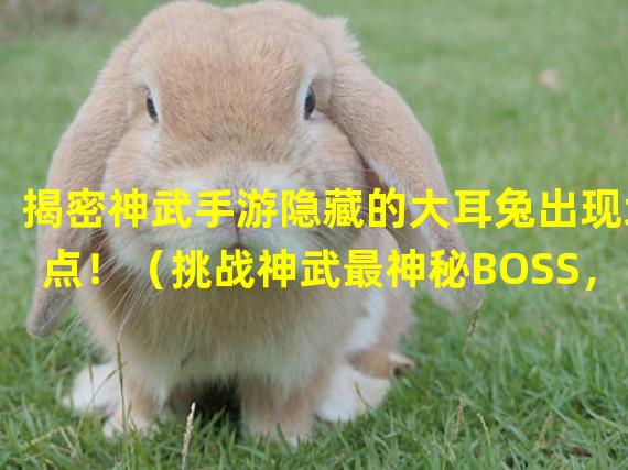 揭密神武手游隐藏的大耳兔出现地点！（挑战神武最神秘BOSS，抓住大耳兔的终极方法！）