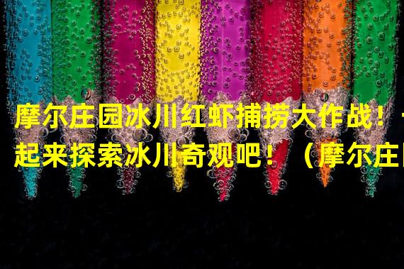 摩尔庄园冰川红虾捕捞大作战！一起来探索冰川奇观吧！（摩尔庄园冰川红虾钓鱼挑战！看看你能否成为捕鱼大师！）