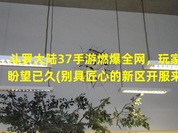 斗罗大陆37手游燃爆全网，玩家盼望已久(别具匠心的新区开服来袭)