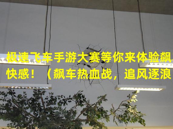 极速飞车手游大赛等你来体验飙车快感！（飙车热血战，追风逐浪，战胜极限速度！）