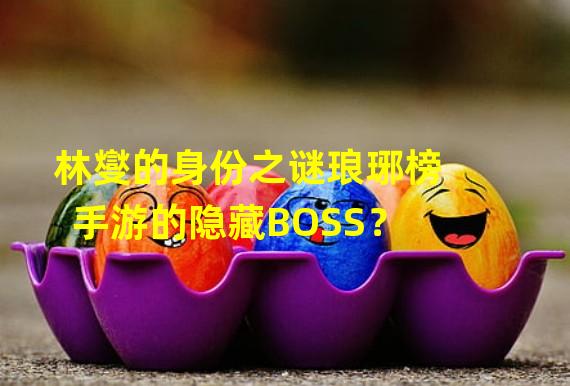 林燮的身份之谜琅琊榜手游的隐藏BOSS？