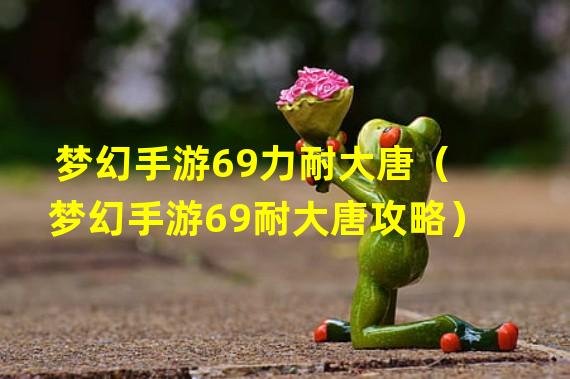 梦幻手游69力耐大唐（梦幻手游69耐大唐攻略）