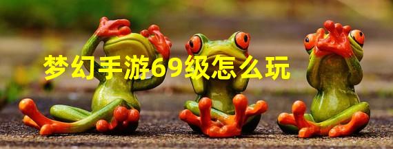 梦幻手游69级怎么玩