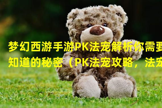 梦幻西游手游PK法宠解析你需要知道的秘密（PK法宠攻略，法宠选择建议）(揭秘梦幻西游手游PK法宠如何选择适合你的法宠利器？)