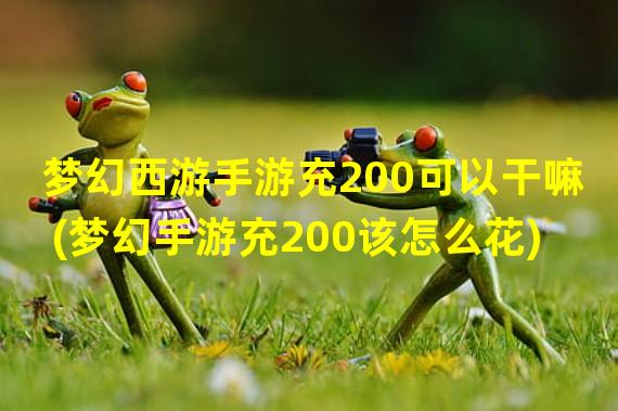 梦幻西游手游充200可以干嘛(梦幻手游充200该怎么花)