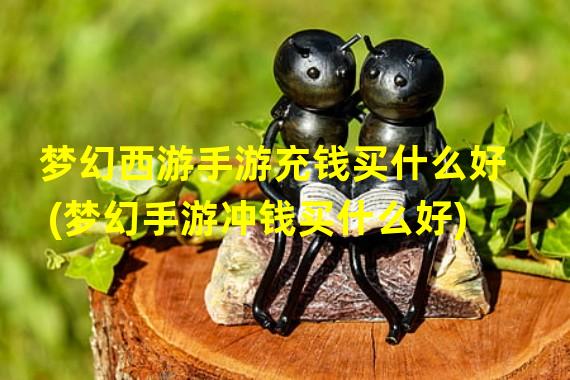 梦幻西游手游充钱买什么好(梦幻手游冲钱买什么好)