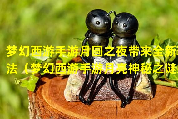 梦幻西游手游月圆之夜带来全新玩法（梦幻西游手游月亮神秘之谜即将揭晓）