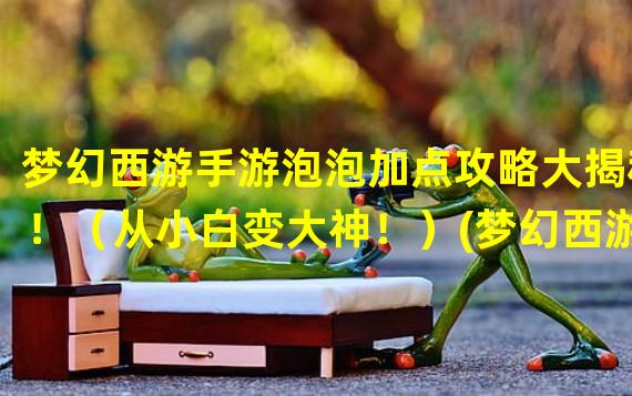 梦幻西游手游泡泡加点攻略大揭秘！（从小白变大神！）(梦幻西游手游泡泡加点技巧分享！（优化玩法提速升级！）)