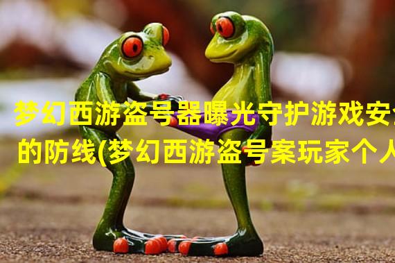 梦幻西游盗号器曝光守护游戏安全的防线(梦幻西游盗号案玩家个人信息泄露真相)