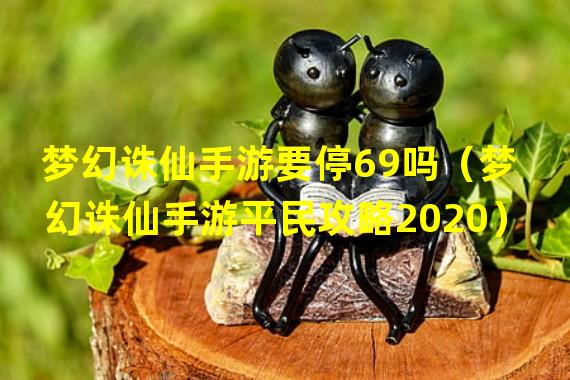 梦幻诛仙手游要停69吗（梦幻诛仙手游平民攻略2020）