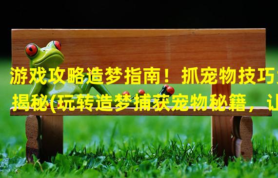 游戏攻略造梦指南！抓宠物技巧大揭秘(玩转造梦捕获宠物秘籍，让你成为抓宠高手！)