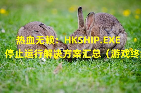 热血无赖：HKSHIP.EXE停止运行解决方案汇总（游戏终结者：HKSHIP.EXE停止运行如何克服？）