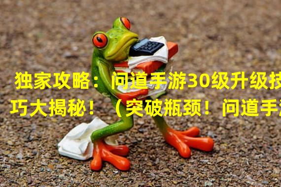 独家攻略：问道手游30级升级技巧大揭秘！（突破瓶颈！问道手游30级升级必备攻略分享！）