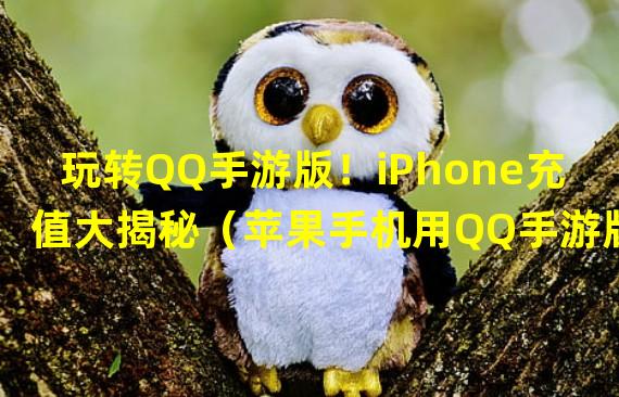 玩转QQ手游版！iPhone充值大揭秘（苹果手机用QQ手游版充值攻略全解析）